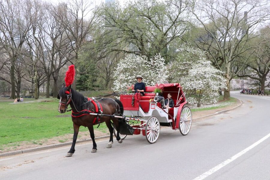 NYC: Guided Standard Central Park Carriage Ride (4 Adults) - Starting beside the José Julián Martí Statue
