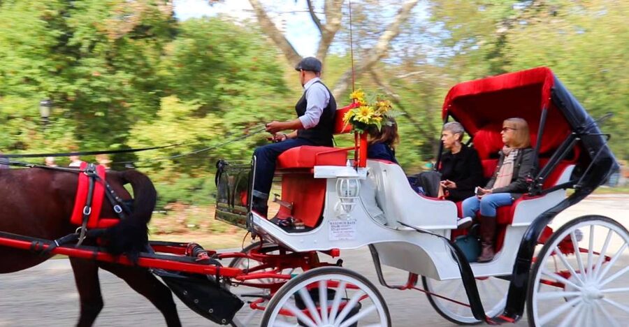 NYC: Guided Standard Central Park Carriage Ride (4 Adults) - Bethesda Terrace and the five-minute photo stop