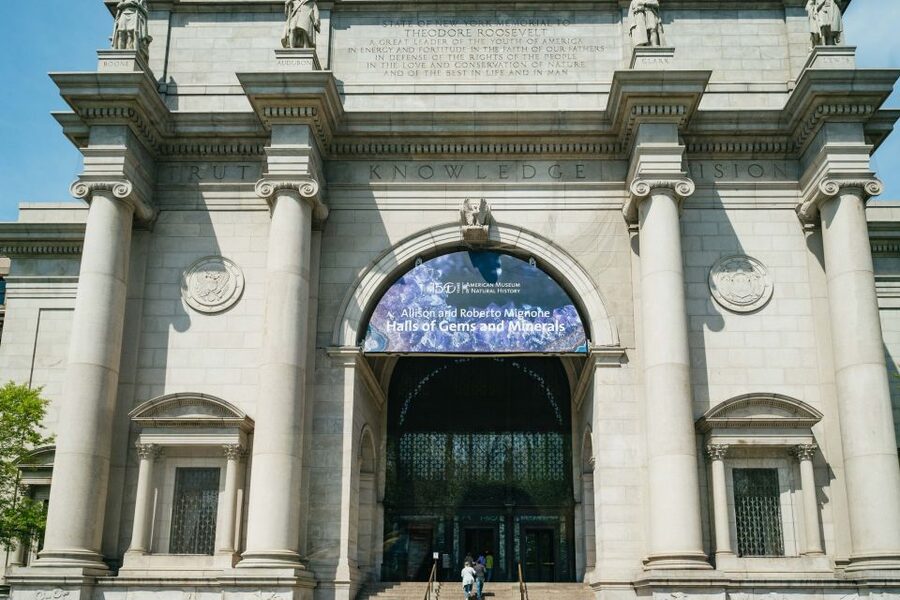 NYC: Harlem & Bronx with Yankees Baseball Game, 1-Day Tour - Watching the Bronx Bombers play
