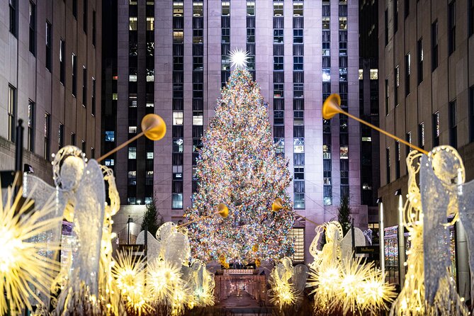 NYC: Holiday Lights and Dyker Heights Luxury Bus Tour - Why Dyker Heights makes this tour different