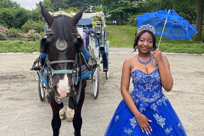 NYC Horse and Carriage Central Park Tours - From the Carousel to Wollman Rink