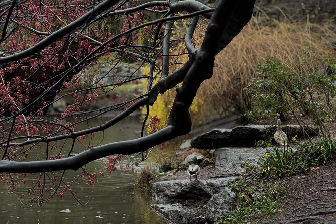 NYC Horse and Carriage Central Park Tours - The Lake, Loeb Boathouse, and Bethesda Fountain
