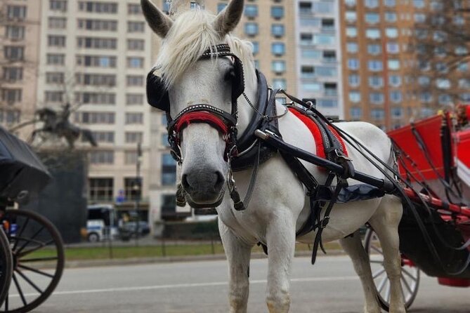 NYC Horse and Carriage Central Park Tours - Pinebank Arch and the parade route