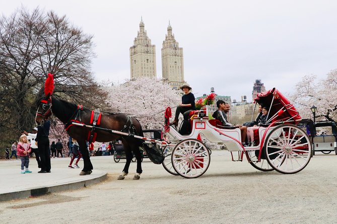 NYC Horse Carriage Ride in Central Park (50 Min. Up to 4 Adults) - Meeting the guide at the José Martí Statue