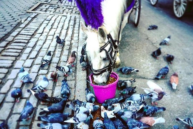 NYC Horse Carriage Ride in Central Park (50 Min. Up to 4 Adults) - Central Park Zoo and the northward view