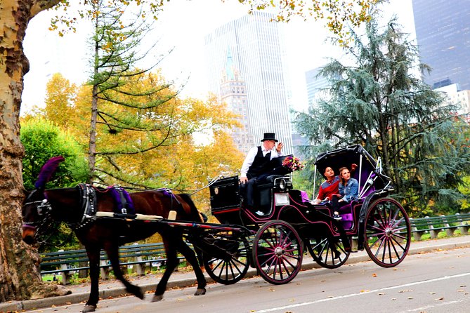 NYC Horse Carriage Ride in Central Park (50 Min. Up to 4 Adults) - What the carriage feels like in cold or wet weather