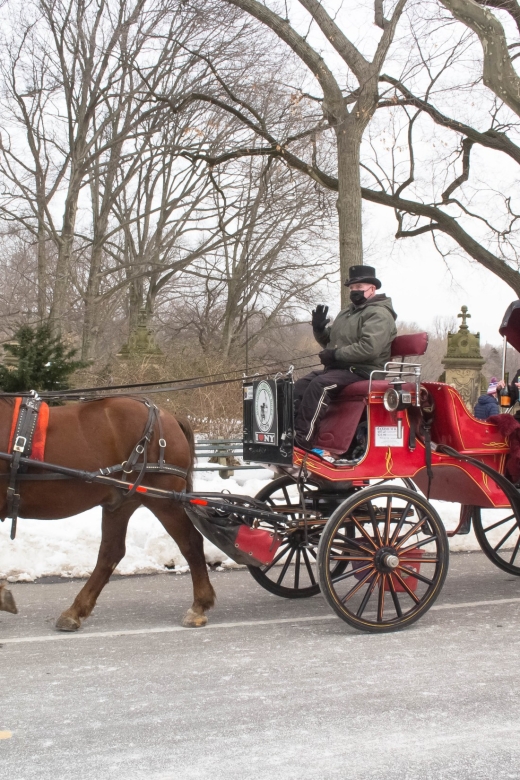 NYC Horse Carriage Ride in Central Park (65 min) - Key Points at a Glance