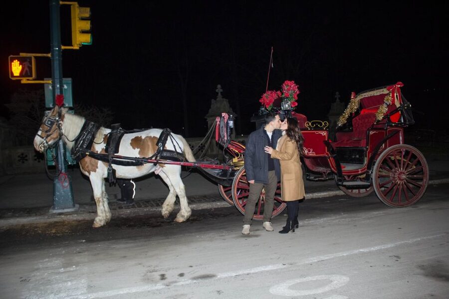 NYC Horse Carriage Ride in Central Park (65 min) - Blankets, Weather, and Seasonal Comfort