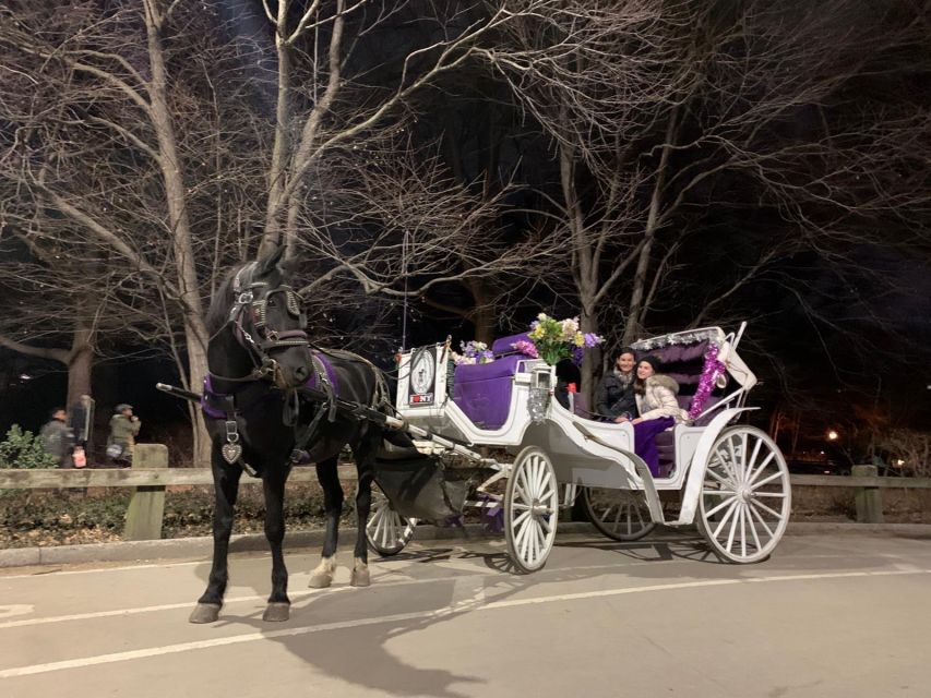 NYC Horse Carriage Ride in Central Park (65 min) - Why a Carriage Works Well in Central Park