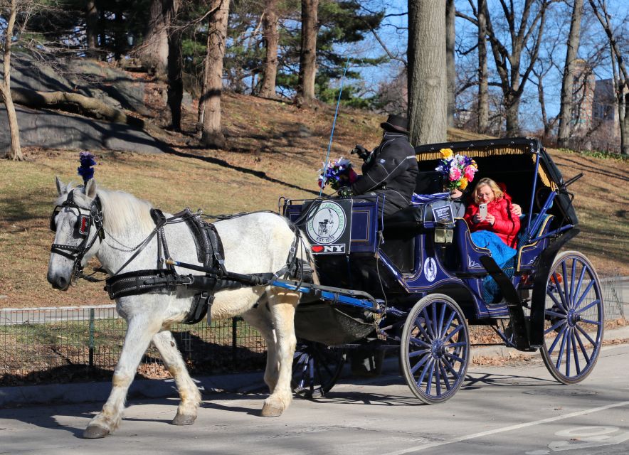 NYC Horse Carriage Ride in Central Park (65 min) - A Moving Tour of Central Park Highlights