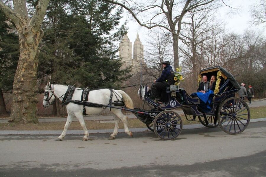 NYC Horse Carriage Ride in Central Park (65 min) - Bethesda Fountain, the Main Photo Pause