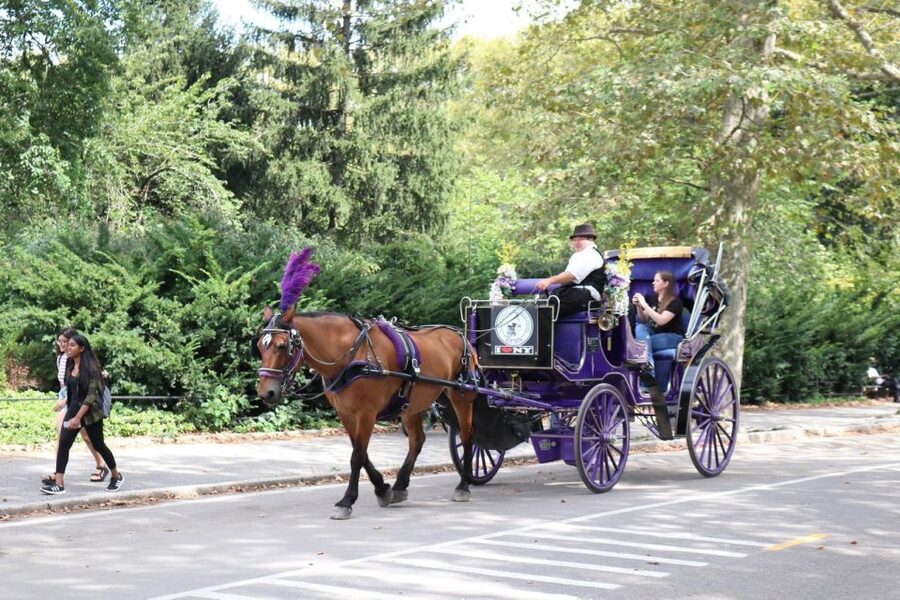 NYC Horse Carriage Ride in Central Park (65 min) - Strawberry Fields and The Dakota