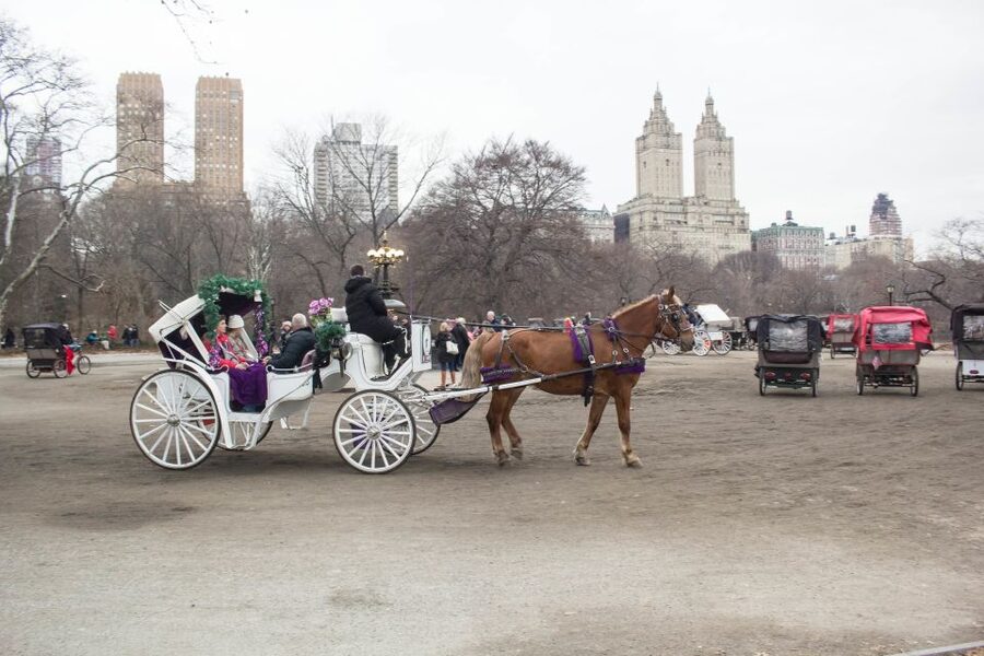 NYC Horse Carriage Ride in Central Park (65 min) - Movie Locations and City Stories Along the Way