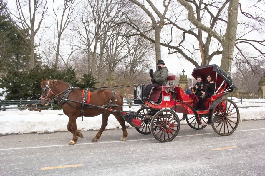 NYC Horse Carriage Ride in Central Park (65 min) - Meeting the Carriage Near Central Park South