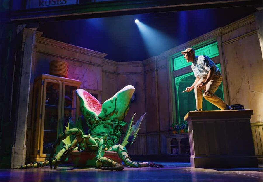 NYC: Little Shop of Horrors Off-Broadway Ticket - Practical theater advice for your evening