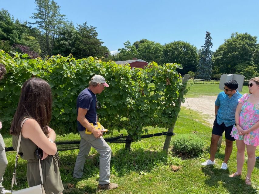 NYC: Long Island Sommelier-Guided Wine Tasting Tour - From East 41st Street to Long Island wine country