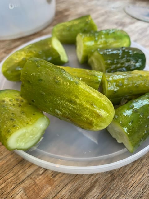 NYC: Lower East Side Walking and Food Tasting Tour - Vanessa’s Dumpling House brings a different flavor