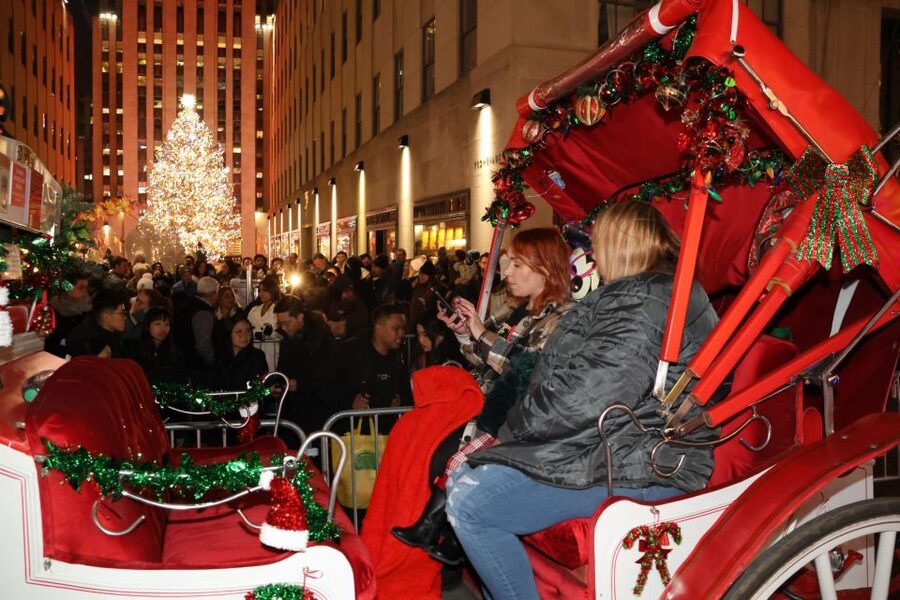 NYC: Magical Christmas Lights Carriage Ride - Booking details that matter