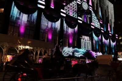 Magical Christmas Lights Carriage Ride