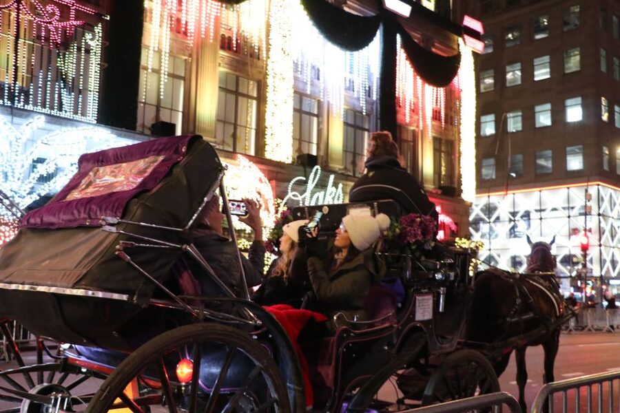 NYC: Magical Christmas Lights Carriage Ride - Is $415 a fair price?