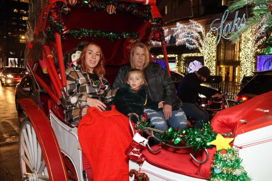 NYC: Magical Christmas Lights Carriage Ride - Who will enjoy this Christmas carriage ride most?