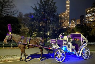 Magical Christmas Lights Private Horse Carriage Ride