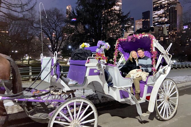 NYC : Magical Christmas Lights Private Horse Carriage Ride - Drivers who add local detail