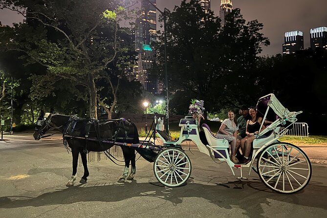 NYC : Magical Christmas Lights Private Horse Carriage Ride - Is $250 good value for 50 minutes?
