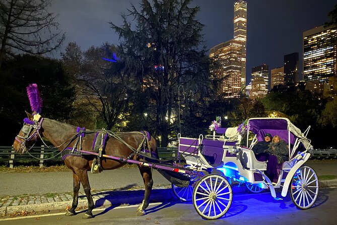 NYC : Magical Christmas Lights Private Horse Carriage Ride - Starting at 200 Central Park South