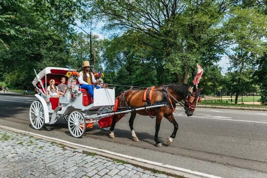 NYC MAGICAL NIGHT TIME RIDE Central Park/Rockefeller Center - Key points to know before booking