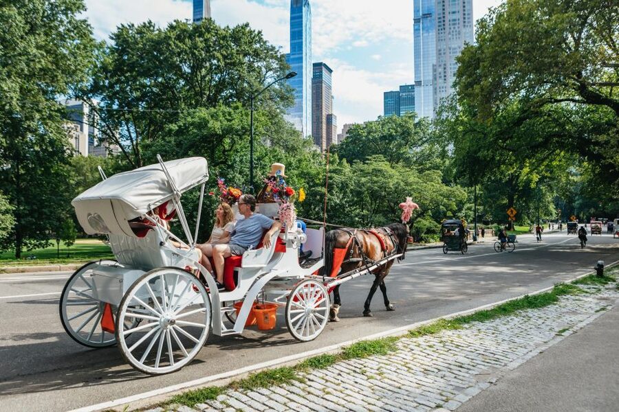 NYC MAGICAL NIGHT TIME RIDE Central Park/Rockefeller Center - Is $230 good value for up to four people?