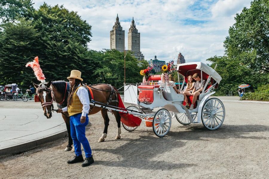 NYC MAGICAL NIGHT TIME RIDE Central Park/Rockefeller Center - Starting at Top Hat NY Horse & Carriage