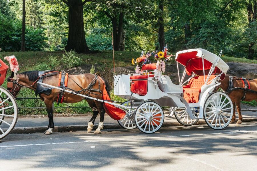 NYC MAGICAL NIGHT TIME RIDE Central Park/Rockefeller Center - Blankets, horses, and the Central Park photo stop