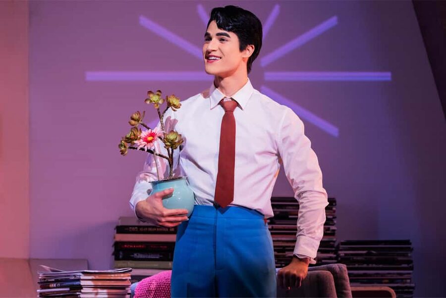 NYC: Maybe Happy Ending on Broadway - Who will enjoy this musical most