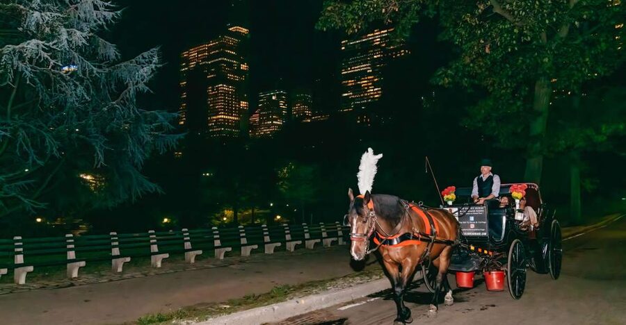 NYC MOONLIGHT HORSE CARRIAGE RIDE through Central Park - Key points to know before booking