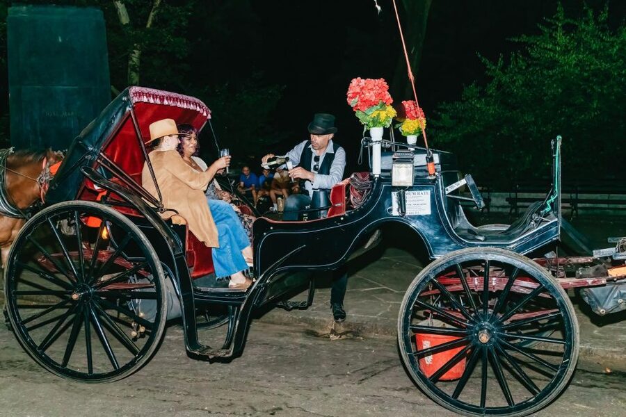 NYC MOONLIGHT HORSE CARRIAGE RIDE through Central Park - Who will enjoy this Central Park carriage ride