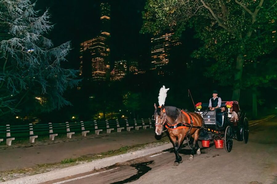 NYC MOONLIGHT HORSE CARRIAGE RIDE through Central Park - A moonlit ride through New York’s best-known park