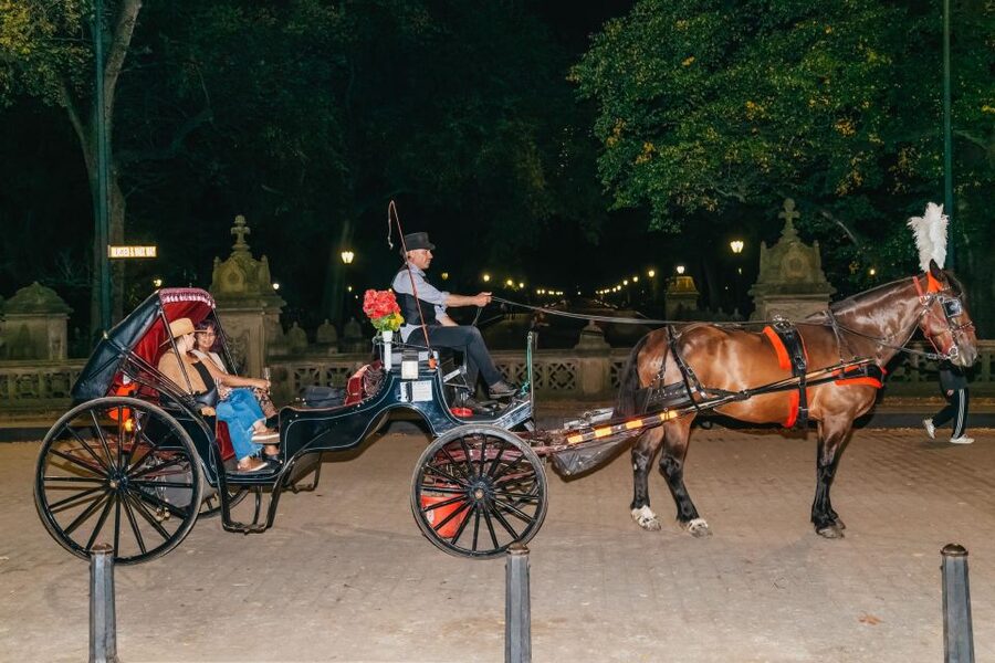 NYC MOONLIGHT HORSE CARRIAGE RIDE through Central Park - Sheep Meadow, the Mall, and Literary Walk