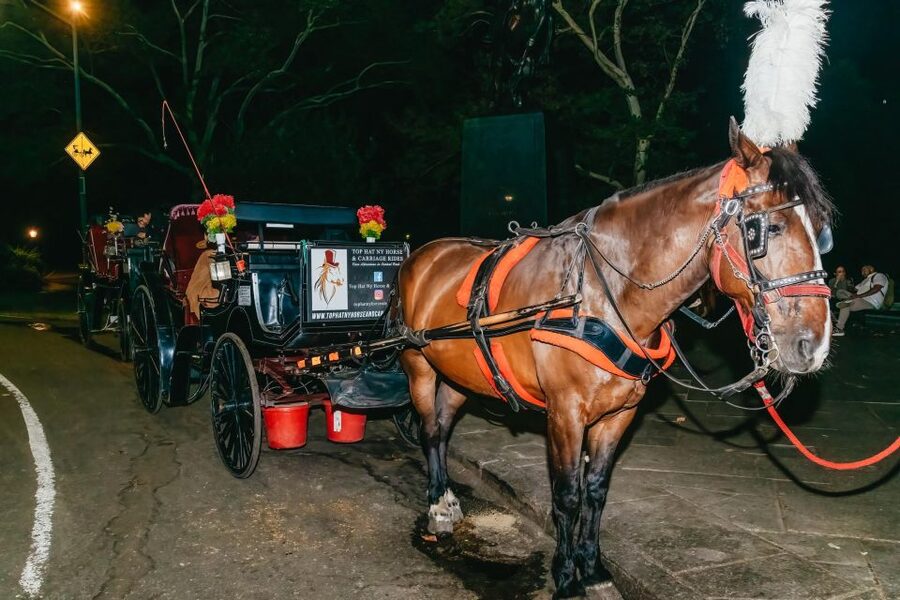 NYC MOONLIGHT HORSE CARRIAGE RIDE through Central Park - Balto, the Boathouse, and Bethesda Terrace