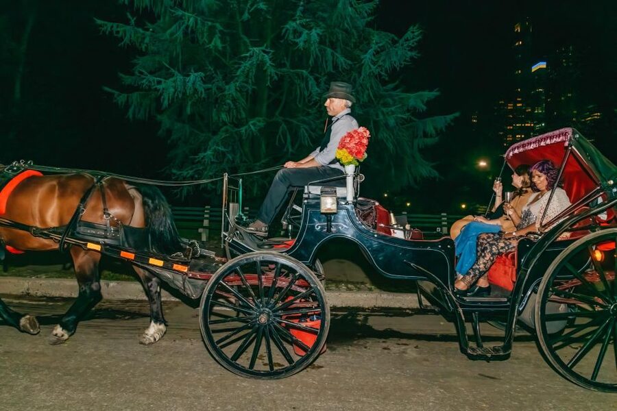NYC MOONLIGHT HORSE CARRIAGE RIDE through Central Park - What the night setting adds