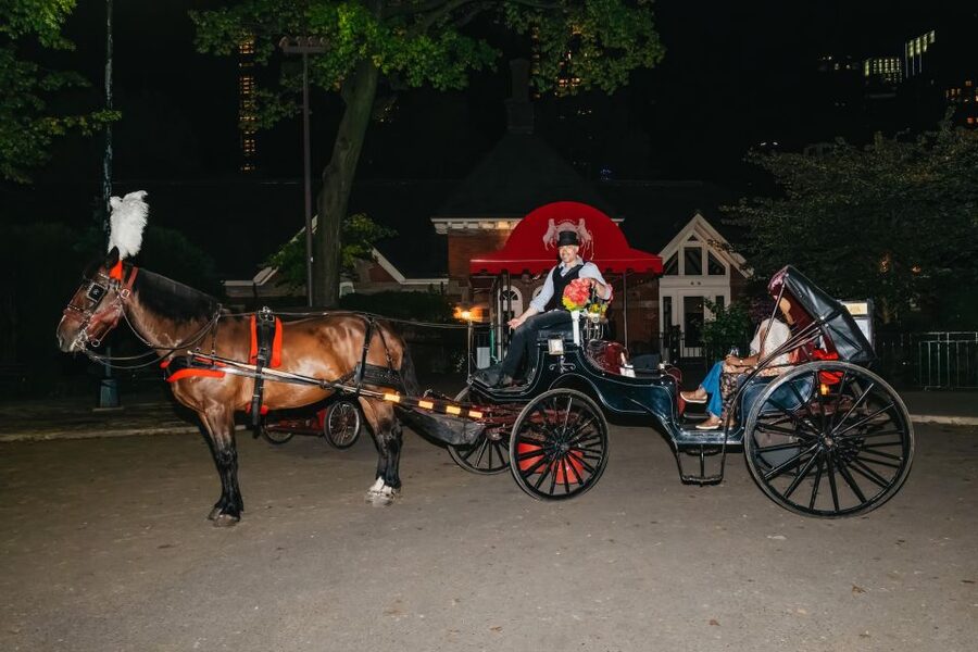 NYC MOONLIGHT HORSE CARRIAGE RIDE through Central Park - Price, private groups, and practical value