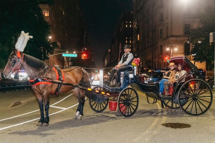 NYC MOONLIGHT HORSE CARRIAGE RIDE through Central Park - Starting at Cop Cot and Wollman Rink