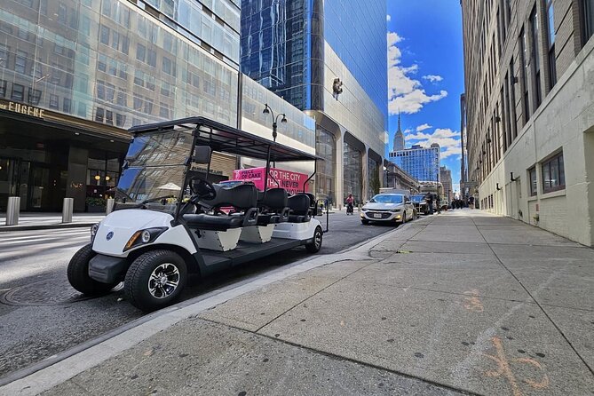 NYC: New York City Landmarks & History City Tour by Cart - Comfort, cold weather, and road conditions