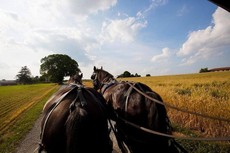 NYC: Philadelphia, Washington DC & Amish Country 2-Day Tour - Philadelphia: American independence in a compact area