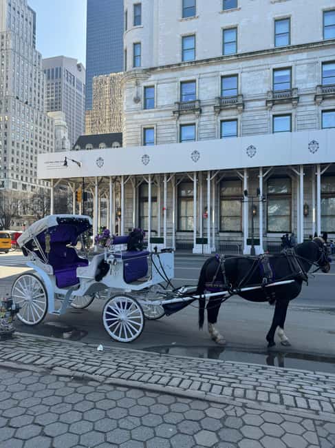 NYC: Private Central Park and NYC City Tour - What the one-hour route gives you