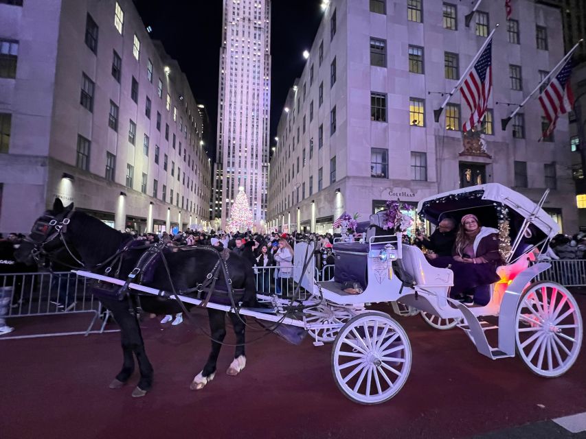 NYC: Private Central Park and NYC City Tour - Should you book it?