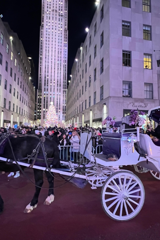NYC: Private Central Park and NYC City Tour - Why a private carriage matters