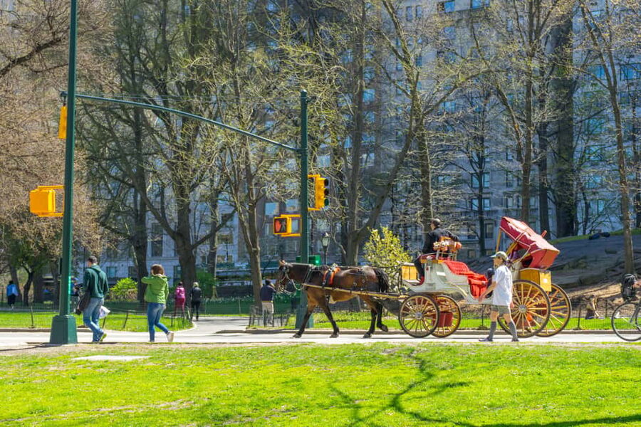 NYC: Private Central Park Horse Carriage Ride with Guide - Key points to know before you book