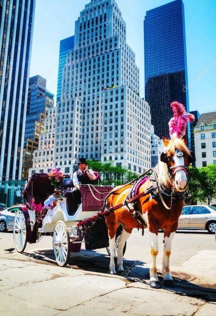 NYC: Private Central Park Horse Carriage Ride with Guide - What this Central Park carriage ride feels like