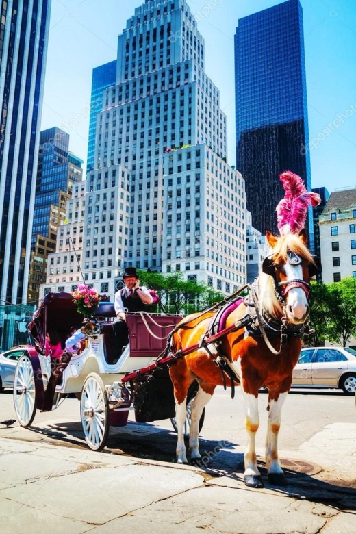 NYC: Private Central Park Horse Carriage Ride with Guide - The first sights inside Central Park